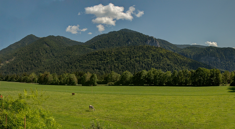 Ferienwohnung Fleischhackerhof in Kreuth am Tegernsee