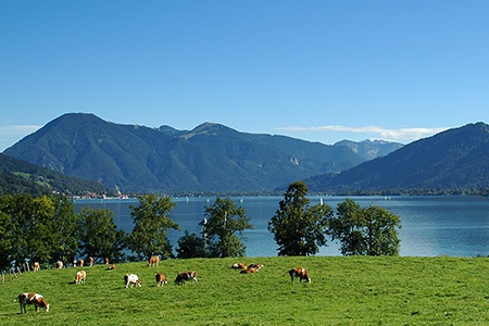 Ferienwohnung Fleischhackerhof in Kreuth am Tegernsee