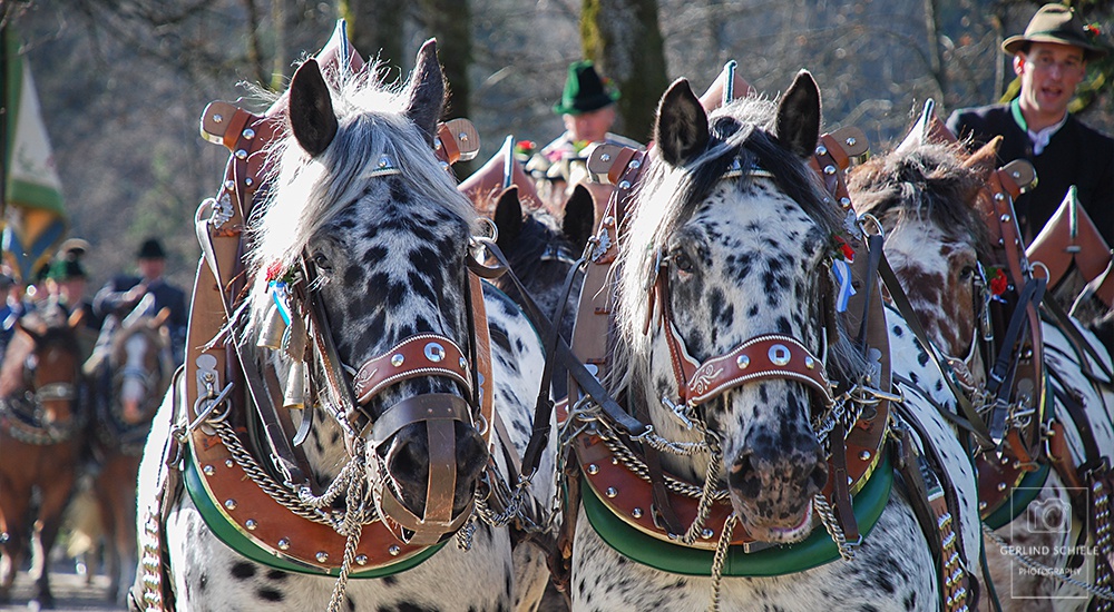 Copyright Gerlind Schiele Photography Tegernsee +49 (0) 170 - 908 85 85